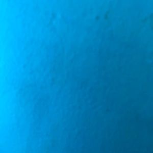 Meet your Posher, Gianna